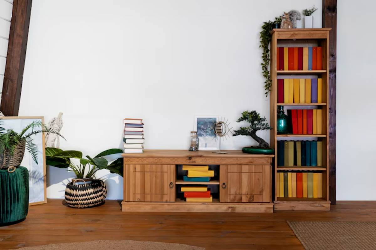A cozy room featuring a wooden media console and a colorful bookshelf, accented by plants and decor on a warm wooden floor.