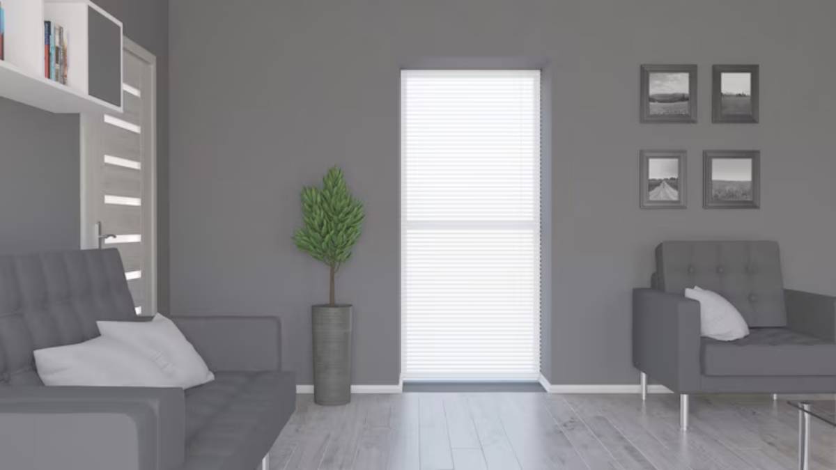 Modern living room featuring gray walls, minimalist furniture, a potted plant, and framed photographs near a bright window. 