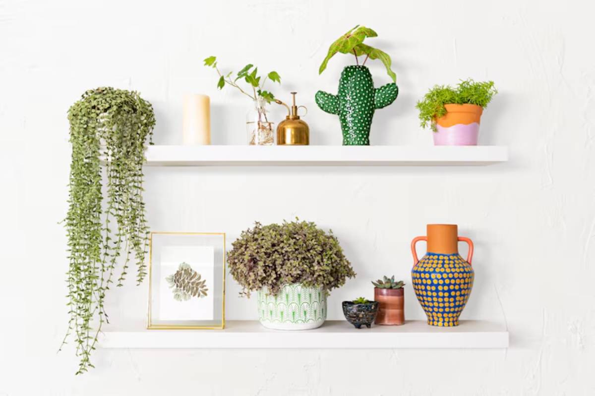  Two white shelves adorned with various potted plants, a framed botanical print, and decorative vases against a textured white wall.